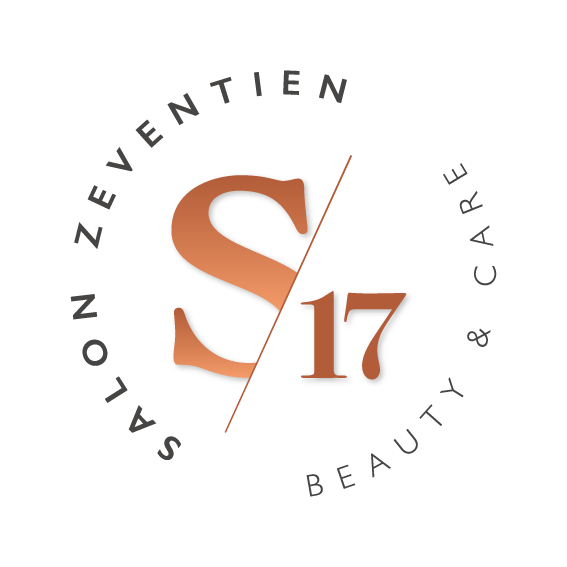 Salon 17 logo
